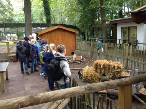 Zoo